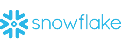Logo Snowflake Colored