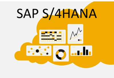 Sap 4